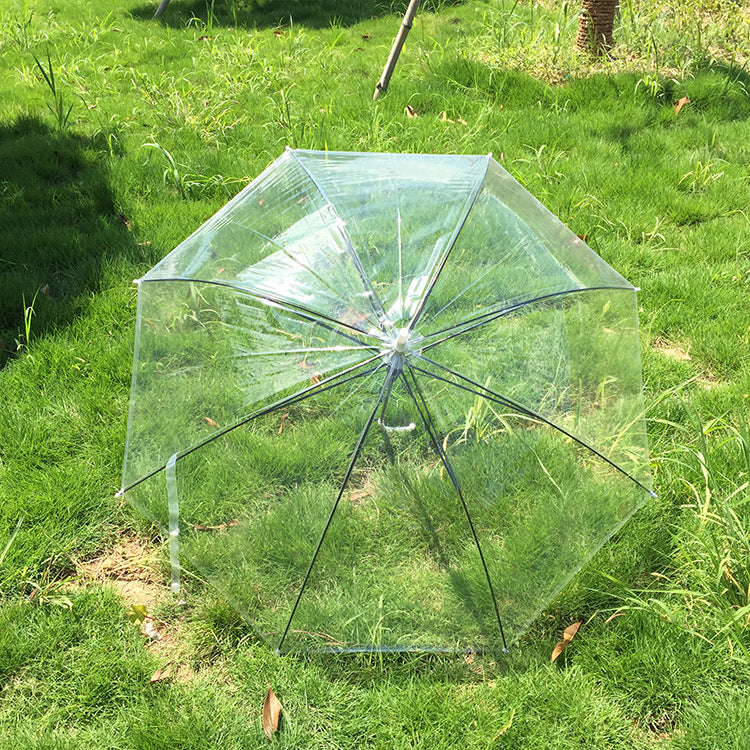 Transparent Colorful Long Handle Umbrella