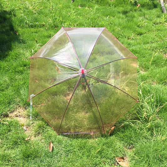 Transparent Colorful Long Handle Umbrella
