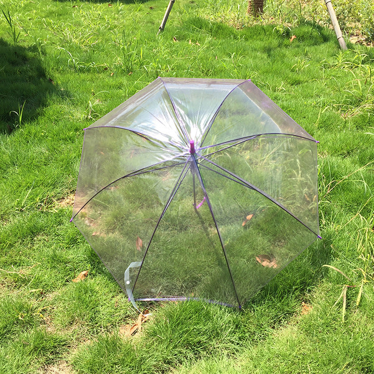 Transparent Colorful Long Handle Umbrella