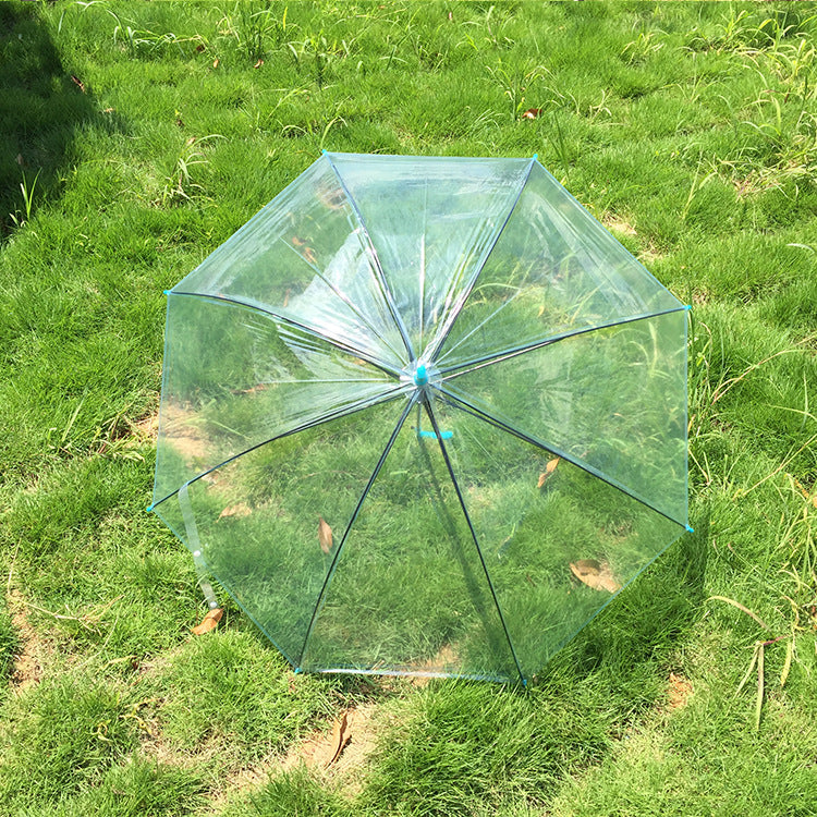 Transparent Colorful Long Handle Umbrella