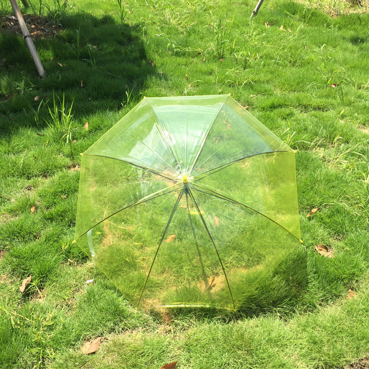 Transparent Colorful Long Handle Umbrella