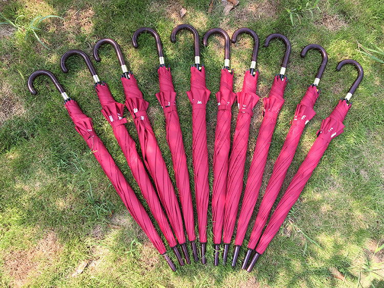 70cm 8 Rib Creative Umbrella Double Shaft Long Handle Umbrella