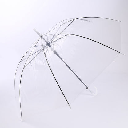 Clear Straight Umbrella