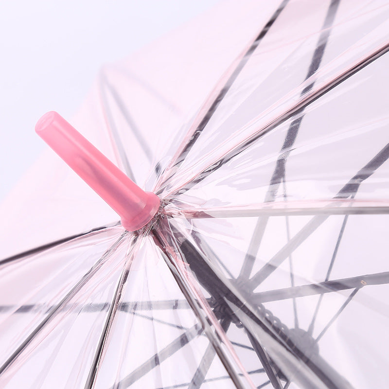 Clear Straight Umbrella