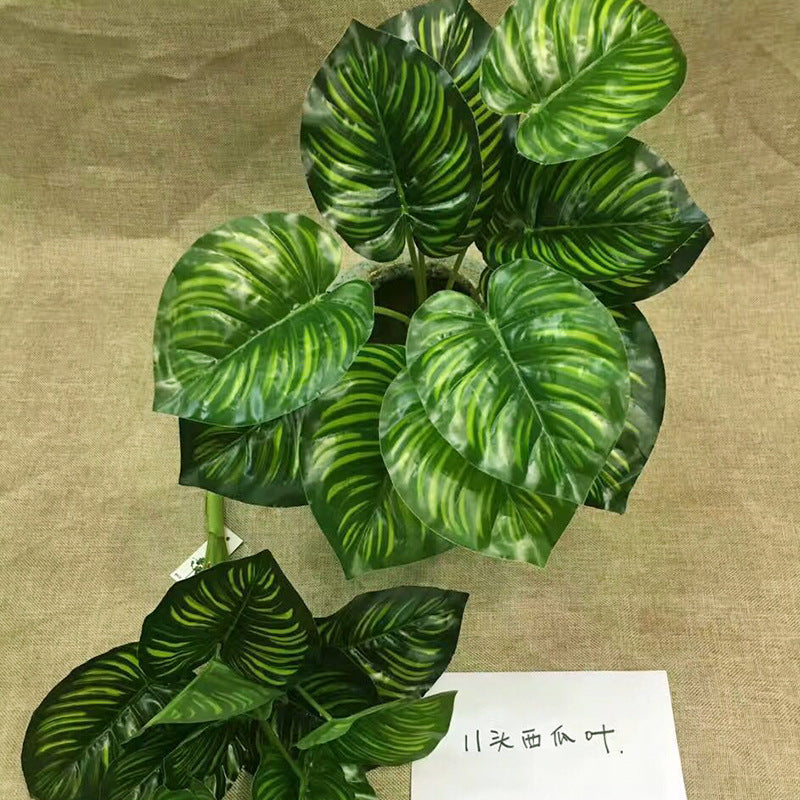 Hoja de tortuga de 11 cabezas altamente simulada. 