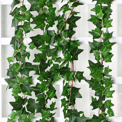 Hiedra horquilla 1,2m18 
