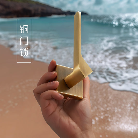 French brass door handle