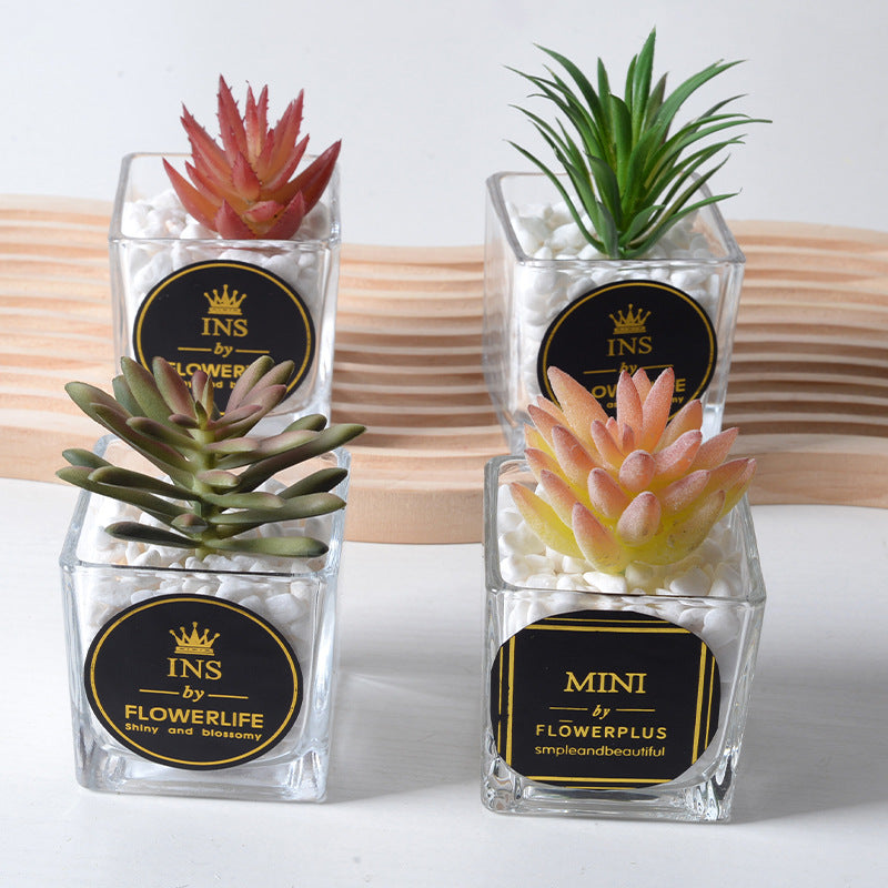 Artificial succulent plants wholesale