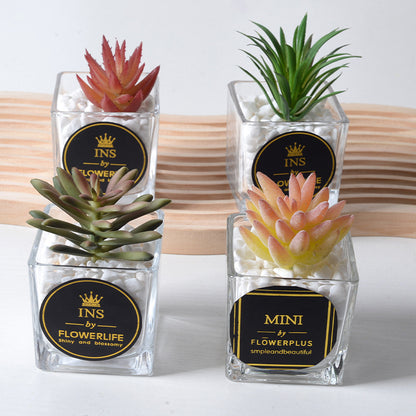 Artificial succulent plants wholesale