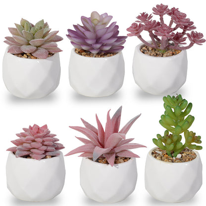 Artificial succulent plants wholesale green plants