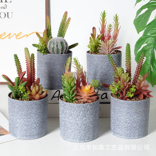 Bonsái de bola de cactus de cemento de melamina de simulación 