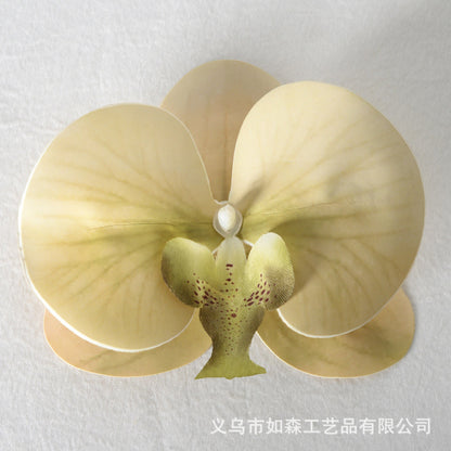 Filme de simulação de pétalas de cabeça de flor de orquídea Phalaenopsis 