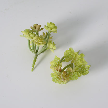 Simulation succulent flocking plants 34 heads of cactus