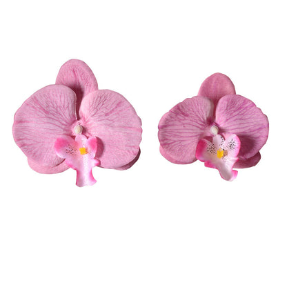 Filme de simulação de pétalas de cabeça de flor de orquídea Phalaenopsis 