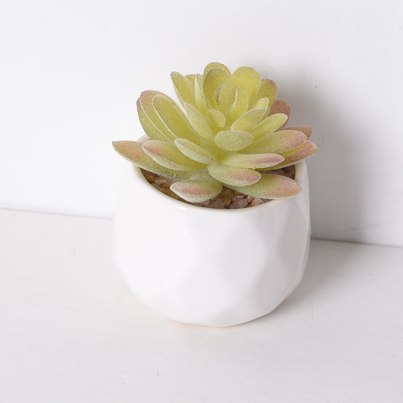 Artificial succulent plants wholesale green plants