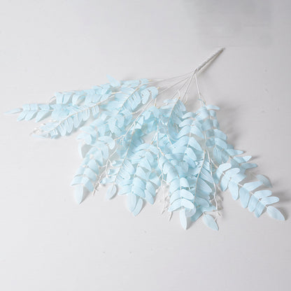 5 manojos de hojas de Sophora japonica 