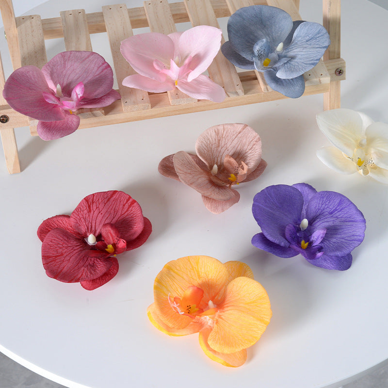 Filme de simulação de pétalas de cabeça de flor de orquídea Phalaenopsis 