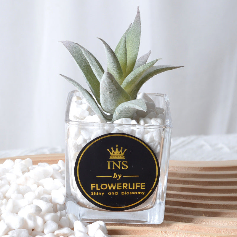 Artificial succulent plants wholesale