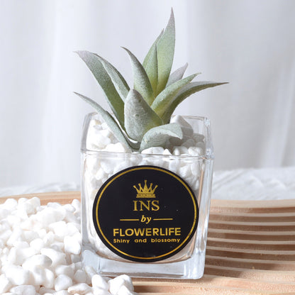 Artificial succulent plants wholesale