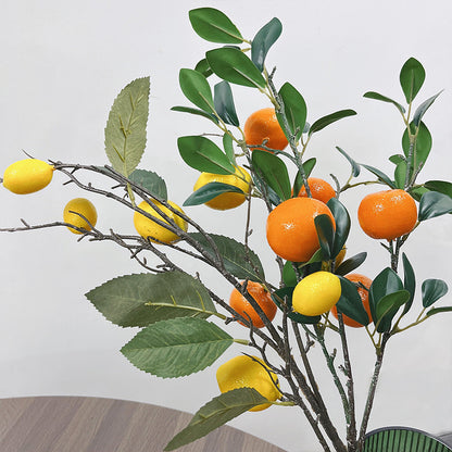 Simulación de fruta caqui redondo cuadrado caqui kumquat limón 
