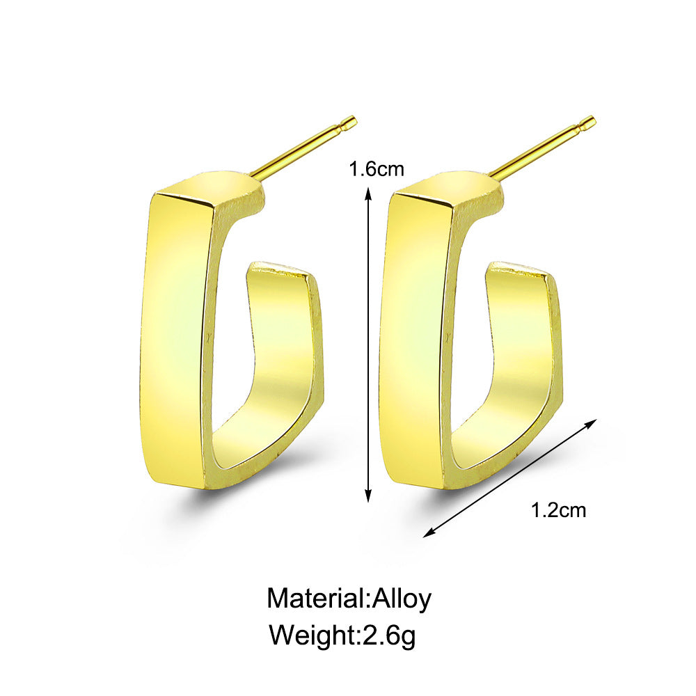 Fashion Geometric Metal Earrings