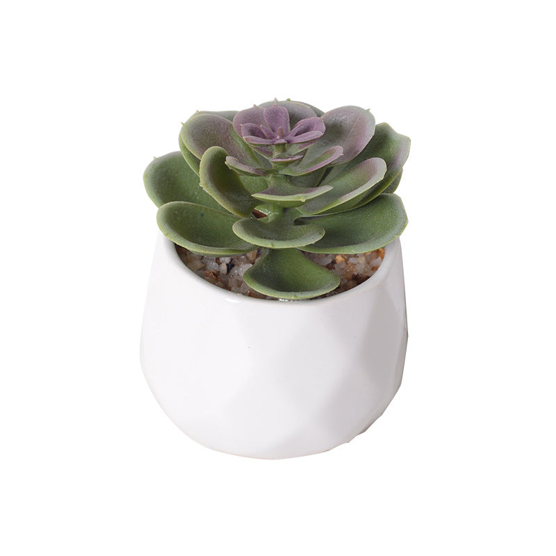 Artificial succulent plants wholesale green plants