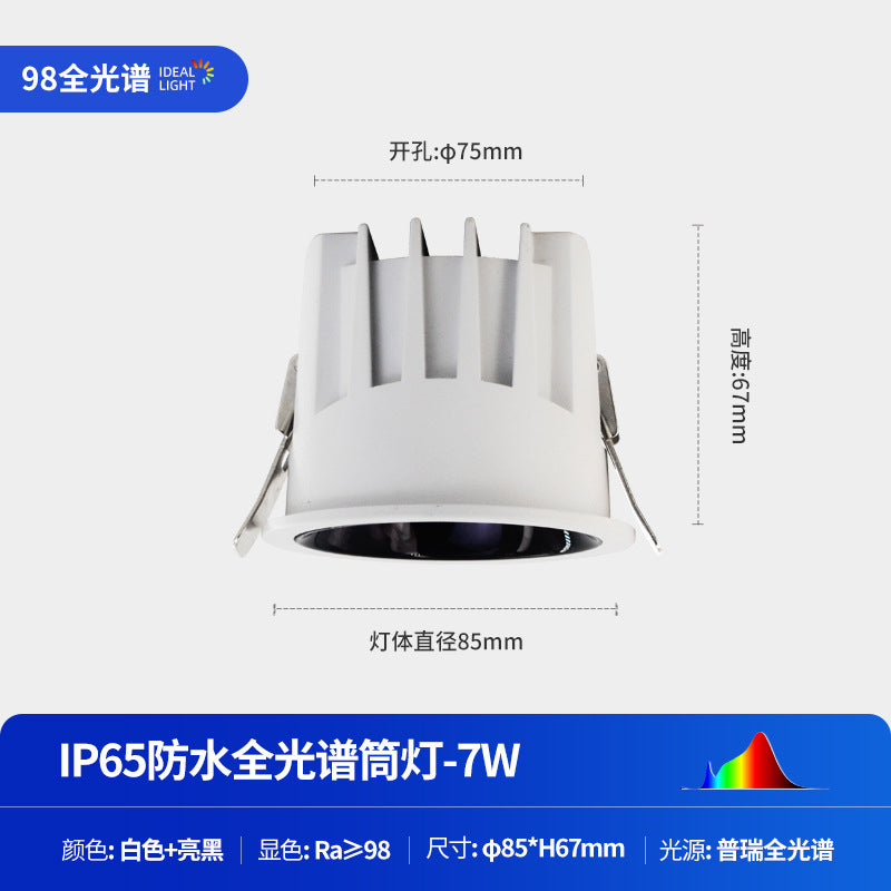 Waterproof downlight cob embedded ceiling spotlight