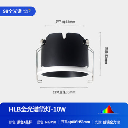 Full Spectrum Downlight