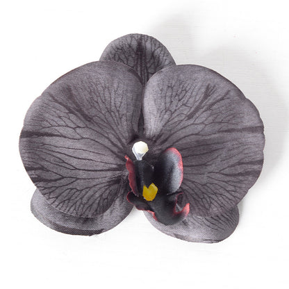 Filme de simulação de pétalas de cabeça de flor de orquídea Phalaenopsis 