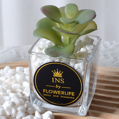 Artificial succulent plants wholesale