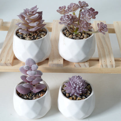 Plantas suculentas de simulación de flocado púrpura. 