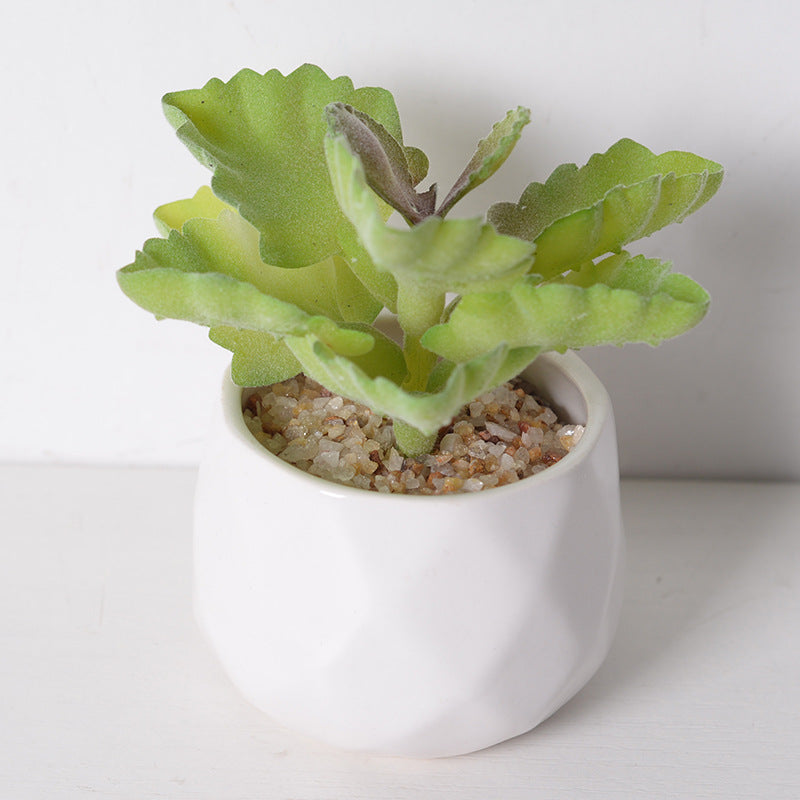 Artificial succulent plants wholesale green plants
