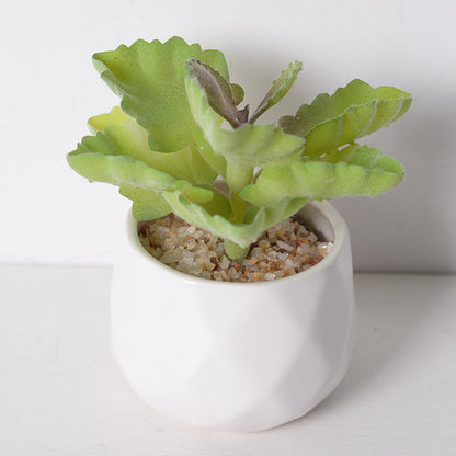 Artificial succulent plants wholesale green plants