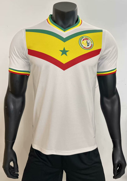 2024 AFCON Morocco Ivory Coast Senegal Ghana Jersey