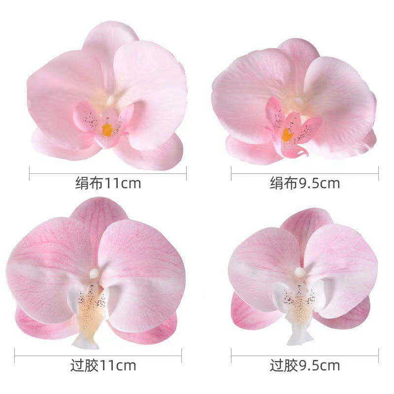 Filme de simulação de pétalas de cabeça de flor de orquídea Phalaenopsis 