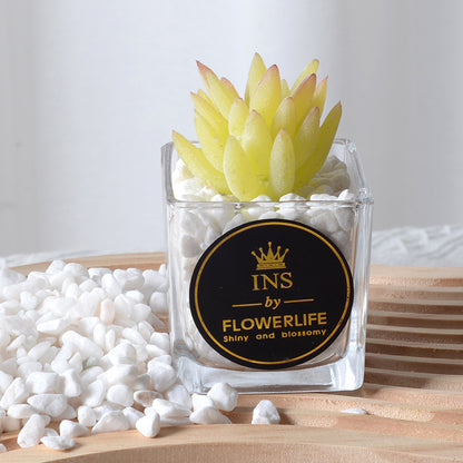 Artificial succulent plants wholesale