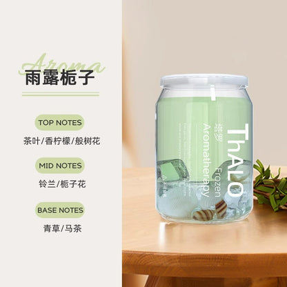 Aromatherapy Home Use Long Lasting Fragrance Air Freshener