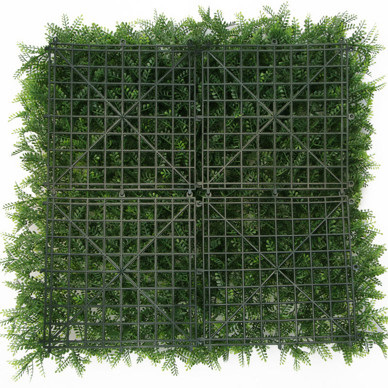 Sunscreen pine grass lawn outdoor plant wall