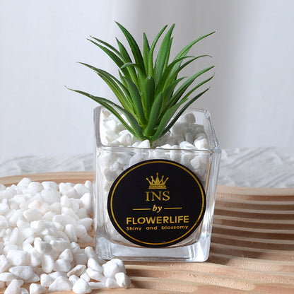 Artificial succulent plants wholesale