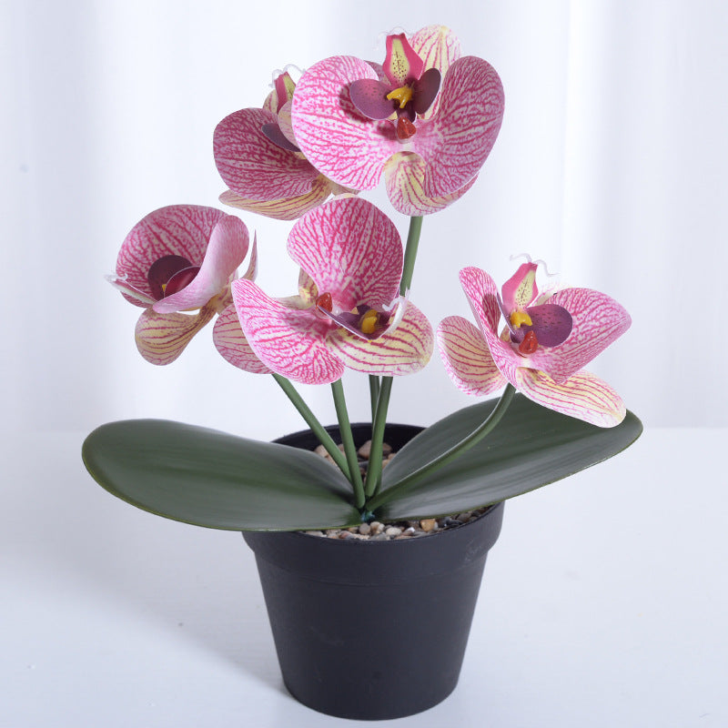 5 Phalaenopsis Orchid Bunch Artificial Flowers