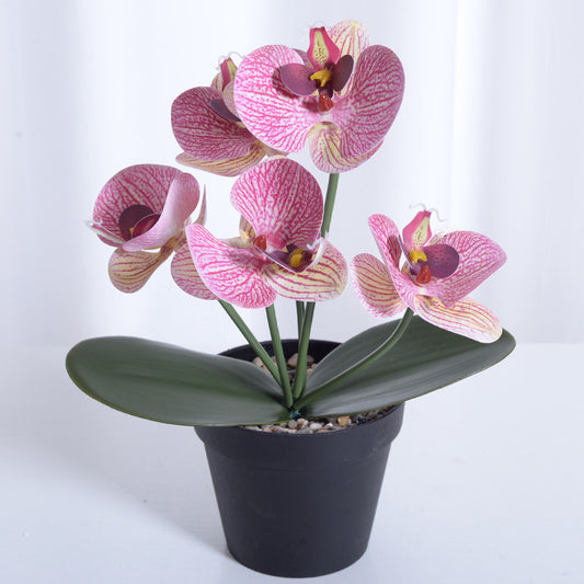 5 Phalaenopsis Orchid Bunch Artificial Flowers