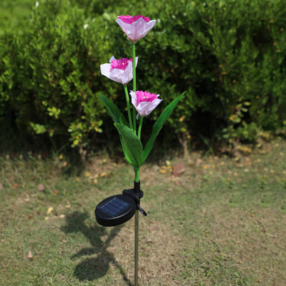 Solar Narcissus lantern