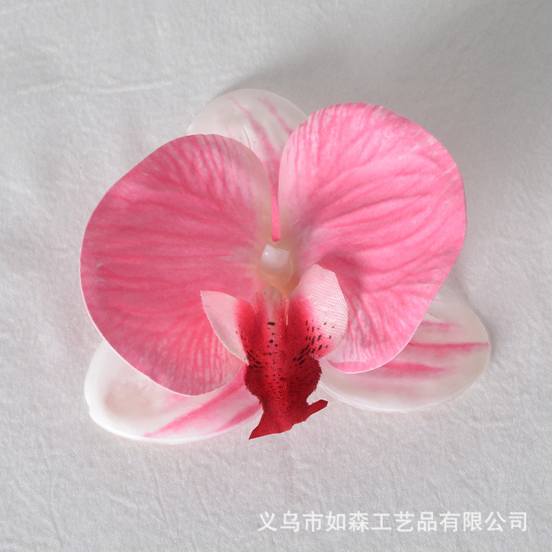 Filme de simulação de pétalas de cabeça de flor de orquídea Phalaenopsis 