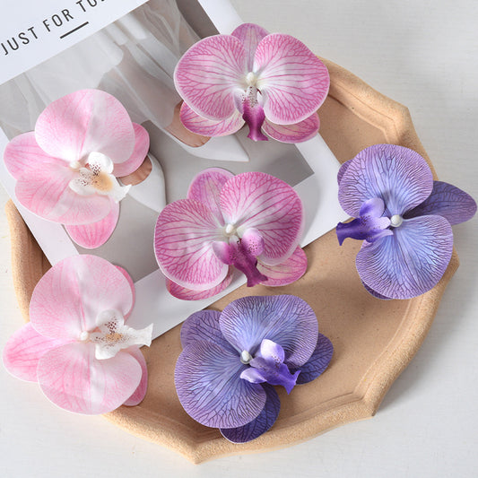 Filme de simulação de pétalas de cabeça de flor de orquídea Phalaenopsis 
