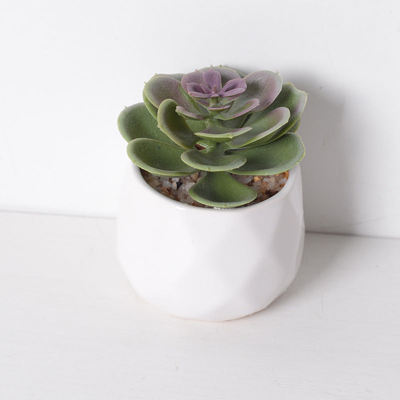 Artificial succulent plants wholesale green plants