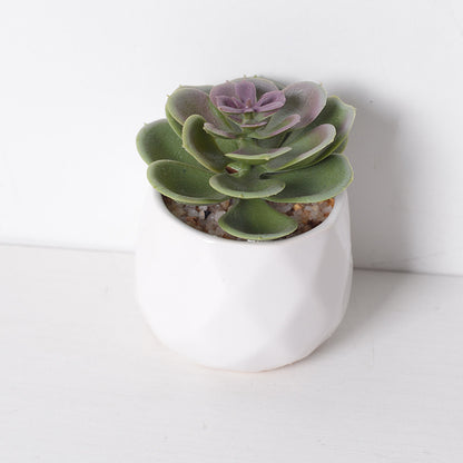 Artificial succulent plants wholesale green plants