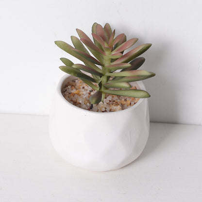 Artificial succulent plants wholesale green plants