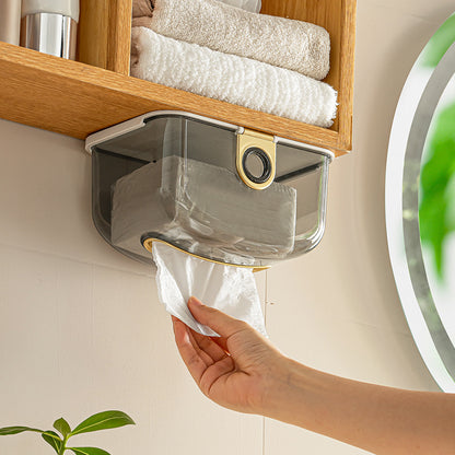 Tissue Box Wall Mounted