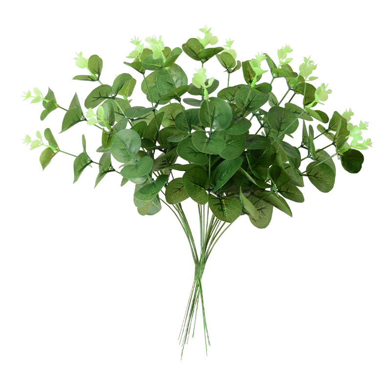 Simulación de una sola hoja de dinero de eucalipto, hoja de eucalipto de rama corta 