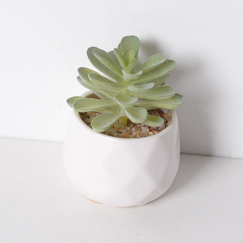 Artificial succulent plants wholesale green plants